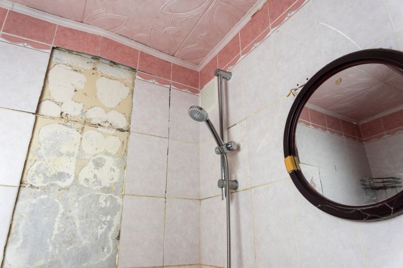 Top Shower Remodeling Companies in Wentzville, MO