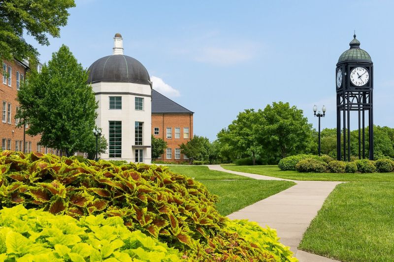 Best Tub To Shower Conversion pros in O Fallon, MO